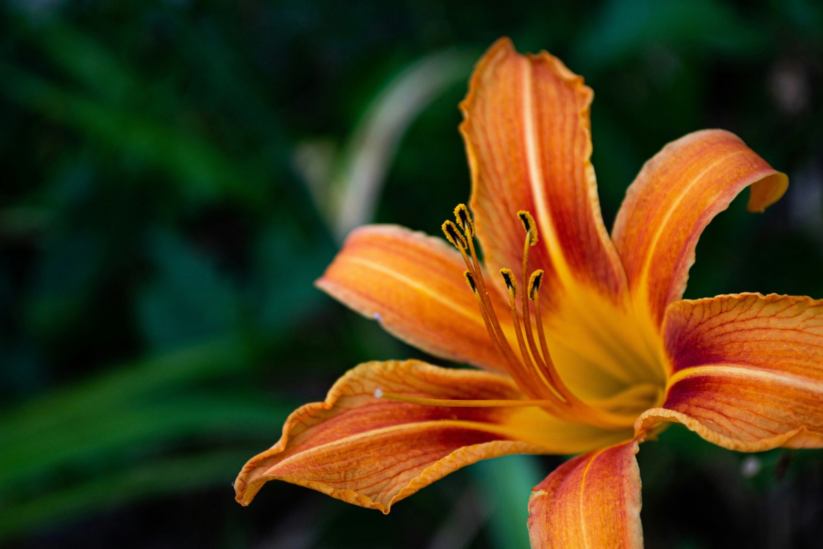 gretchen-i0o6owezpjo-unsplash
