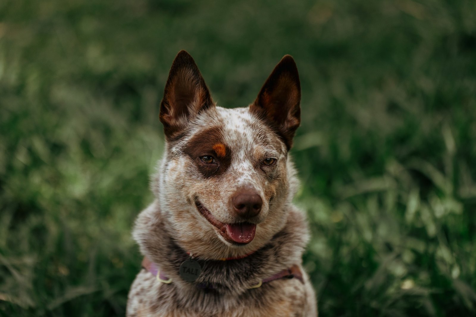 helena-lopes-b0b7W3gmOhg-unsplash