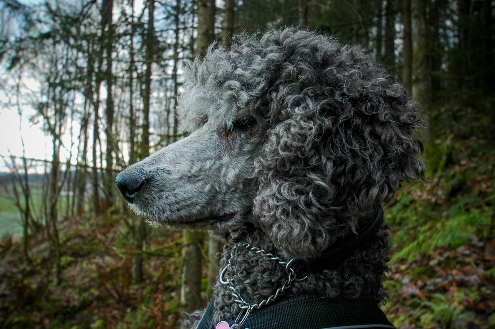 herman-aasly-mIklbdi1U2M-unsplash