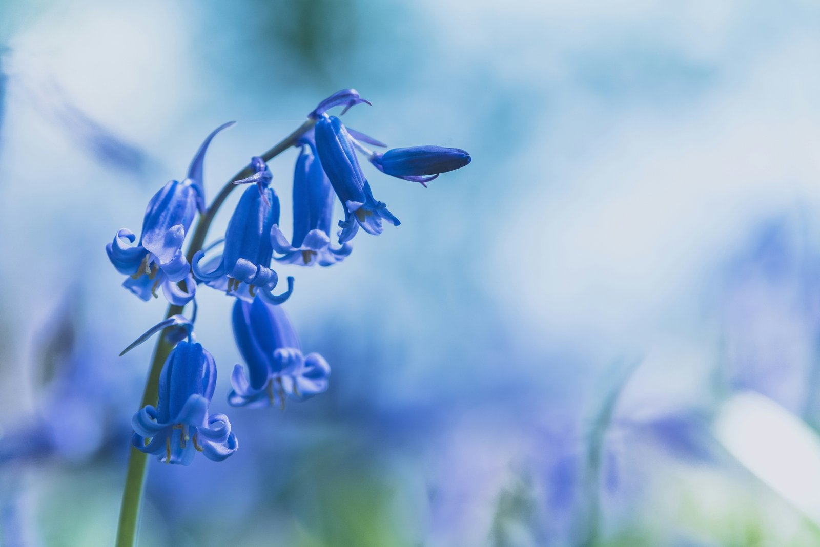 jez-timms-ikgmBELD7PQ-unsplash