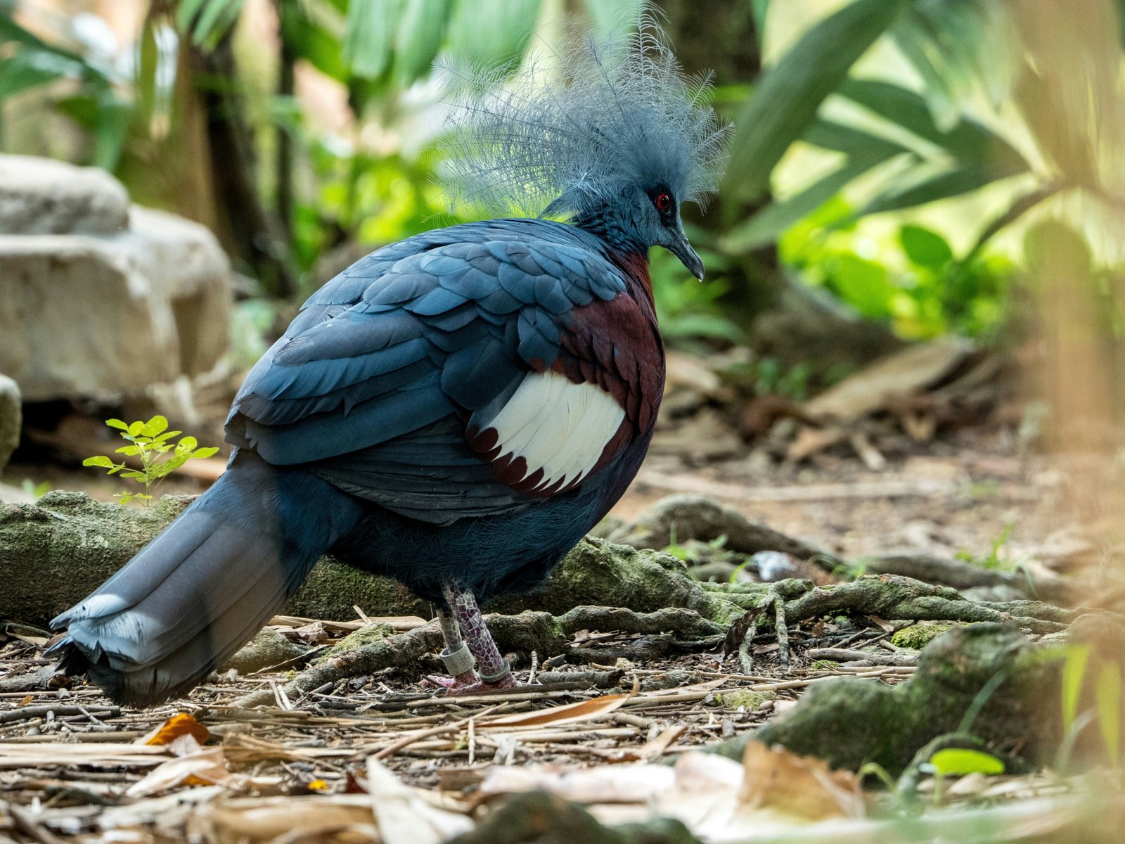 jing-bo-wang-U38xYkeGC-s-unsplash