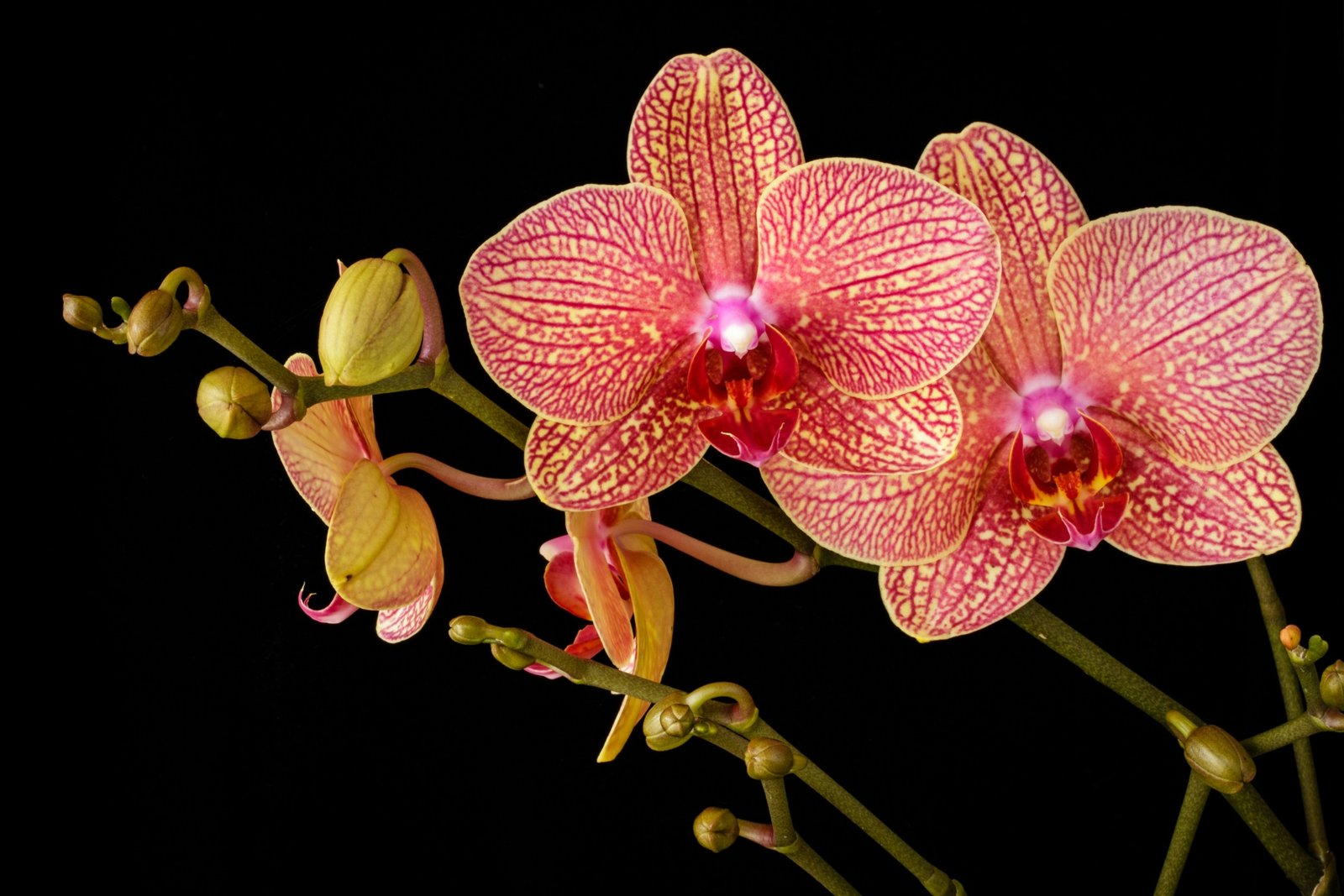 john-wiesenfeld-Ug6z9PCwr58-unsplash