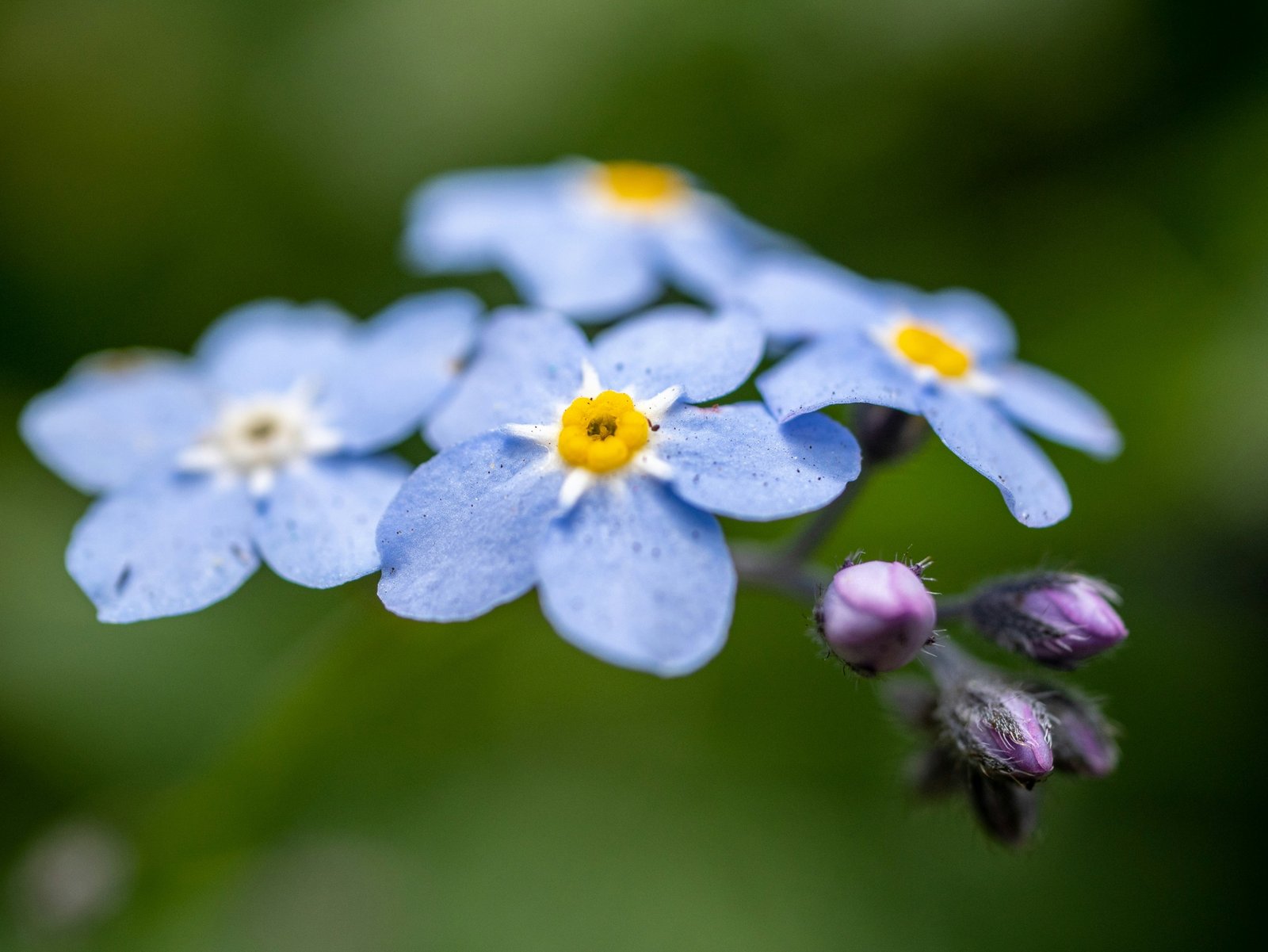 jonathan-jensen-c0ElgDII3fU-unsplash