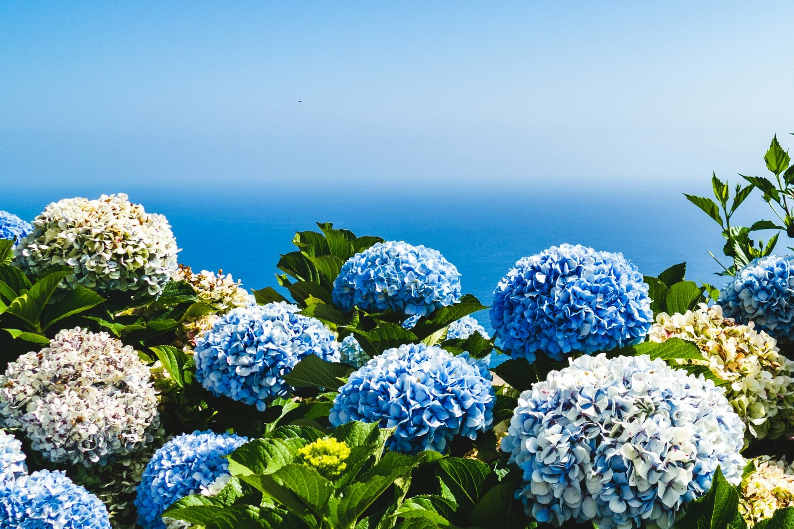 josefin-LvEOWMyr-Bc-unsplash