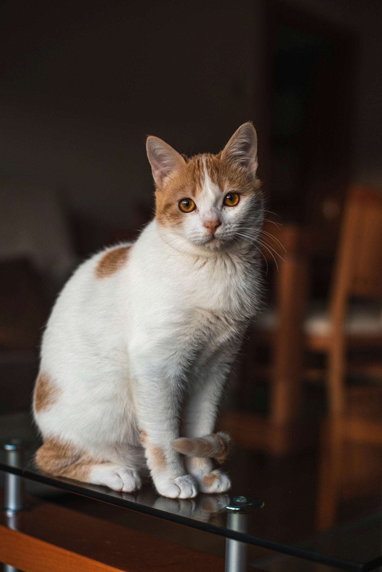 juan-manuel-sanchez-egk9uKaoNng-unsplash
