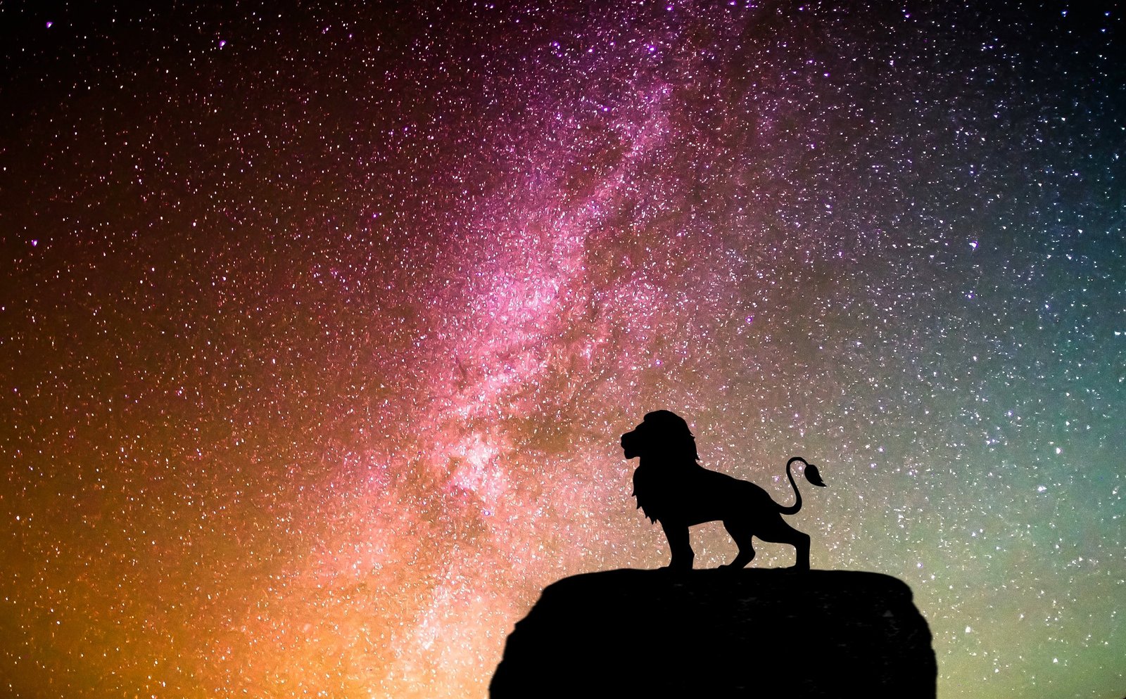 lion-5982571-1920