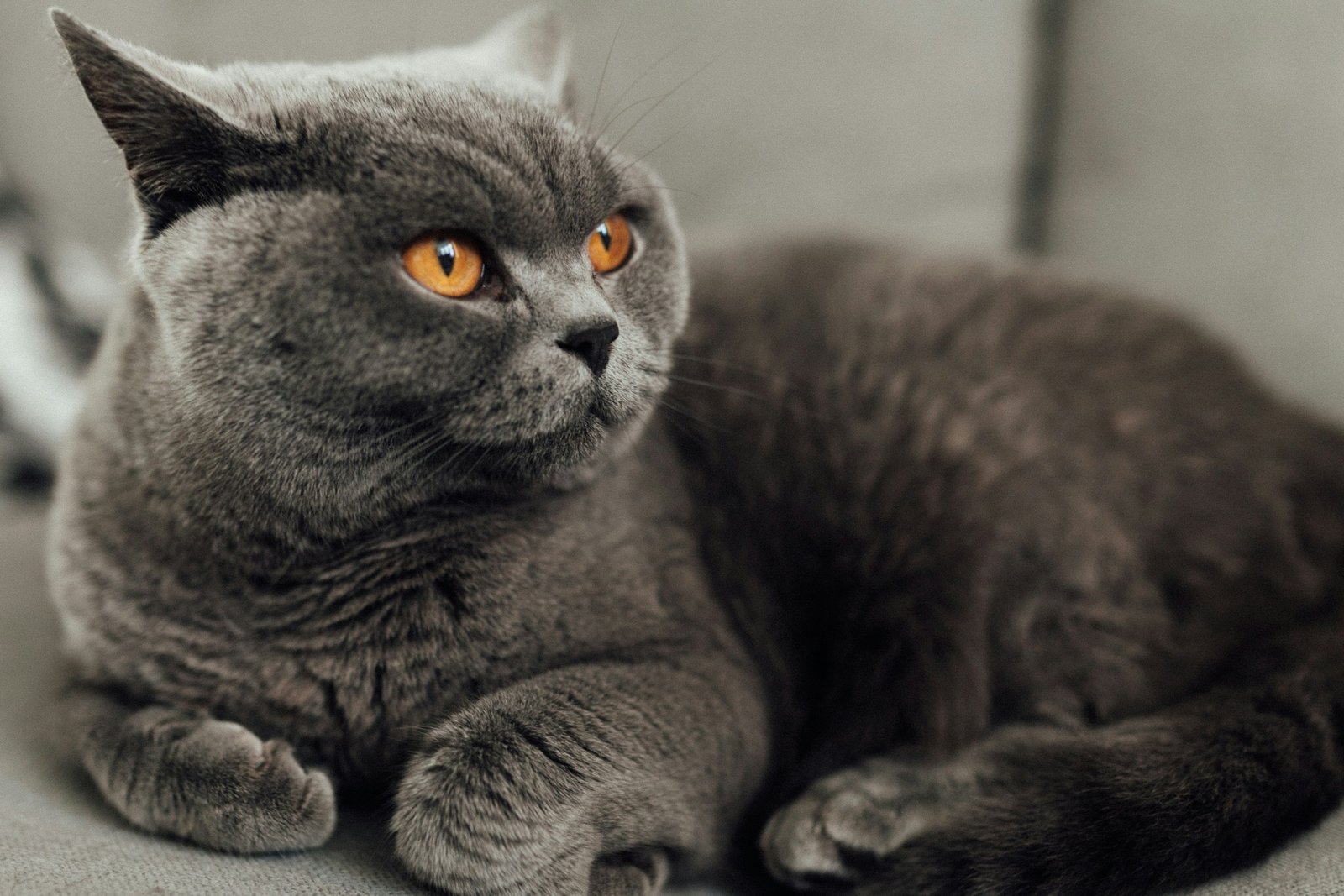 look-again-digital-3oNWY7MeTiw-unsplash