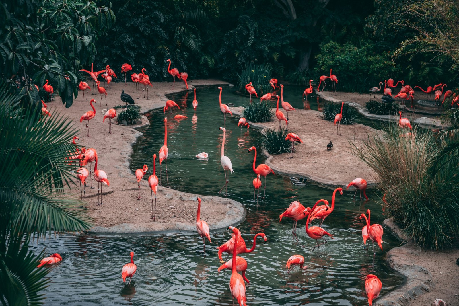 matthew-cabret-ub1sSvJ-Tbs-unsplash