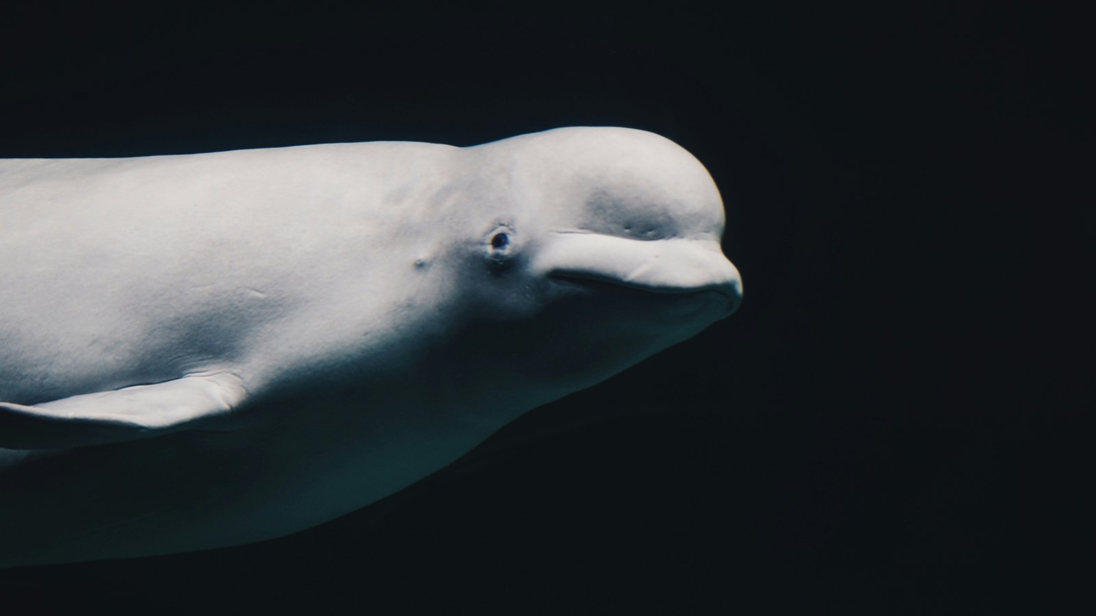 mendar-bouchali-djtZXyJkTU4-unsplash