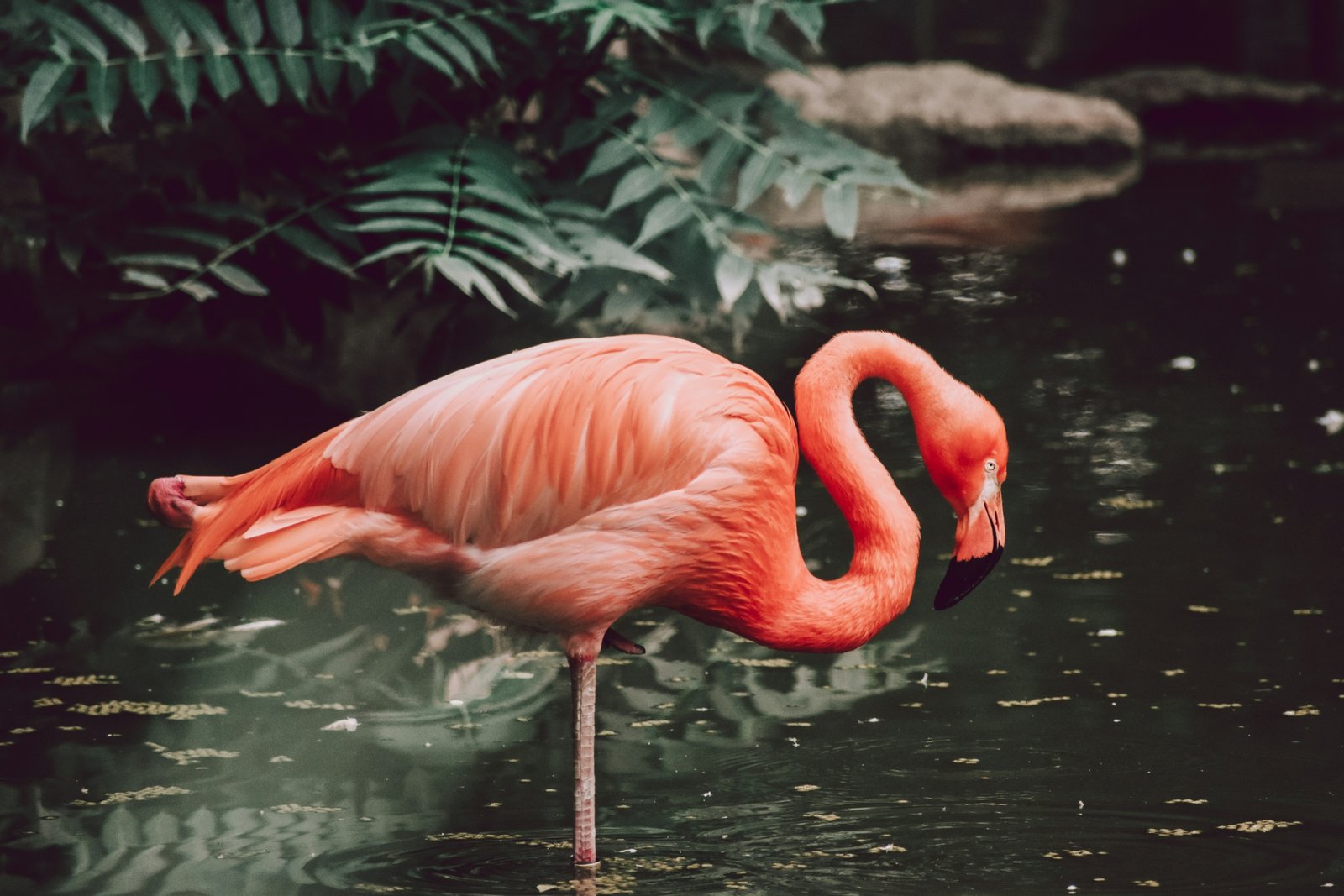 morgan-newnham-KBw-uM15mkk-unsplash