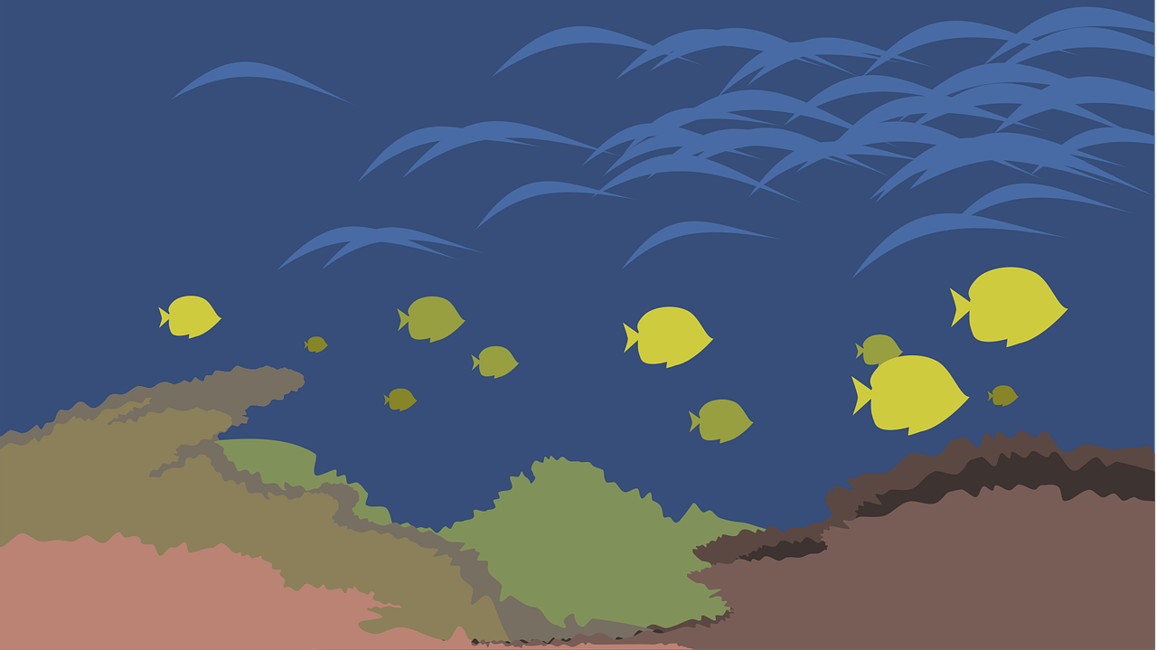 ocean-2418209-1280