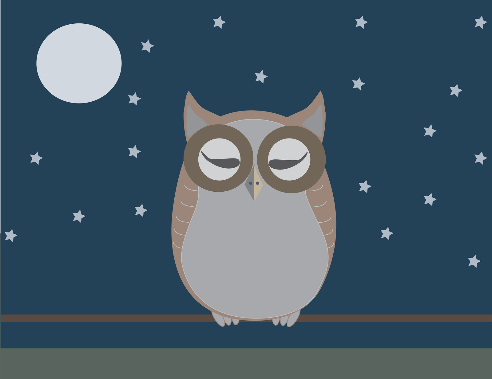 owl-5098883-1920