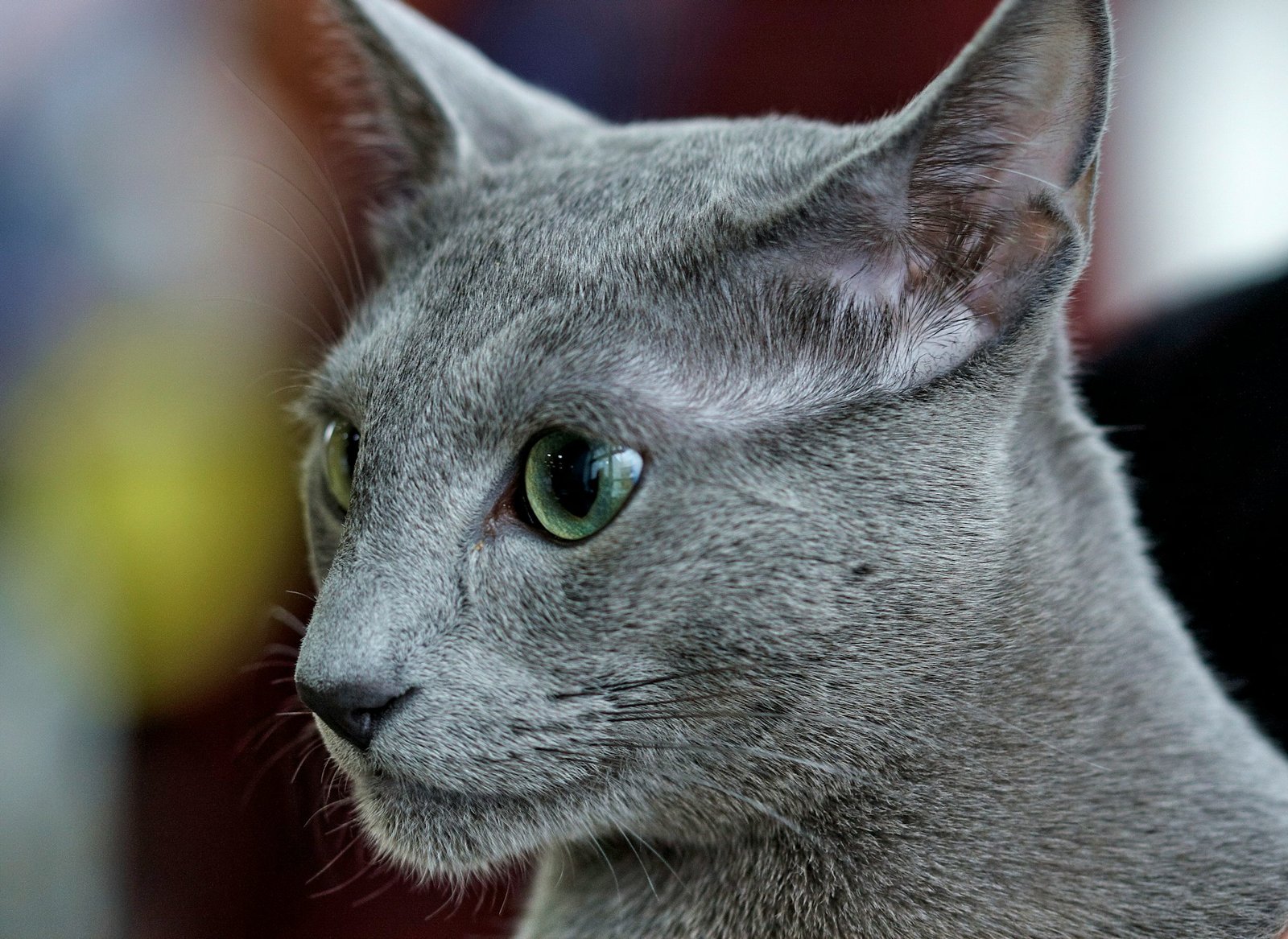 sergey-semin-u-lm35U6cUE-unsplash