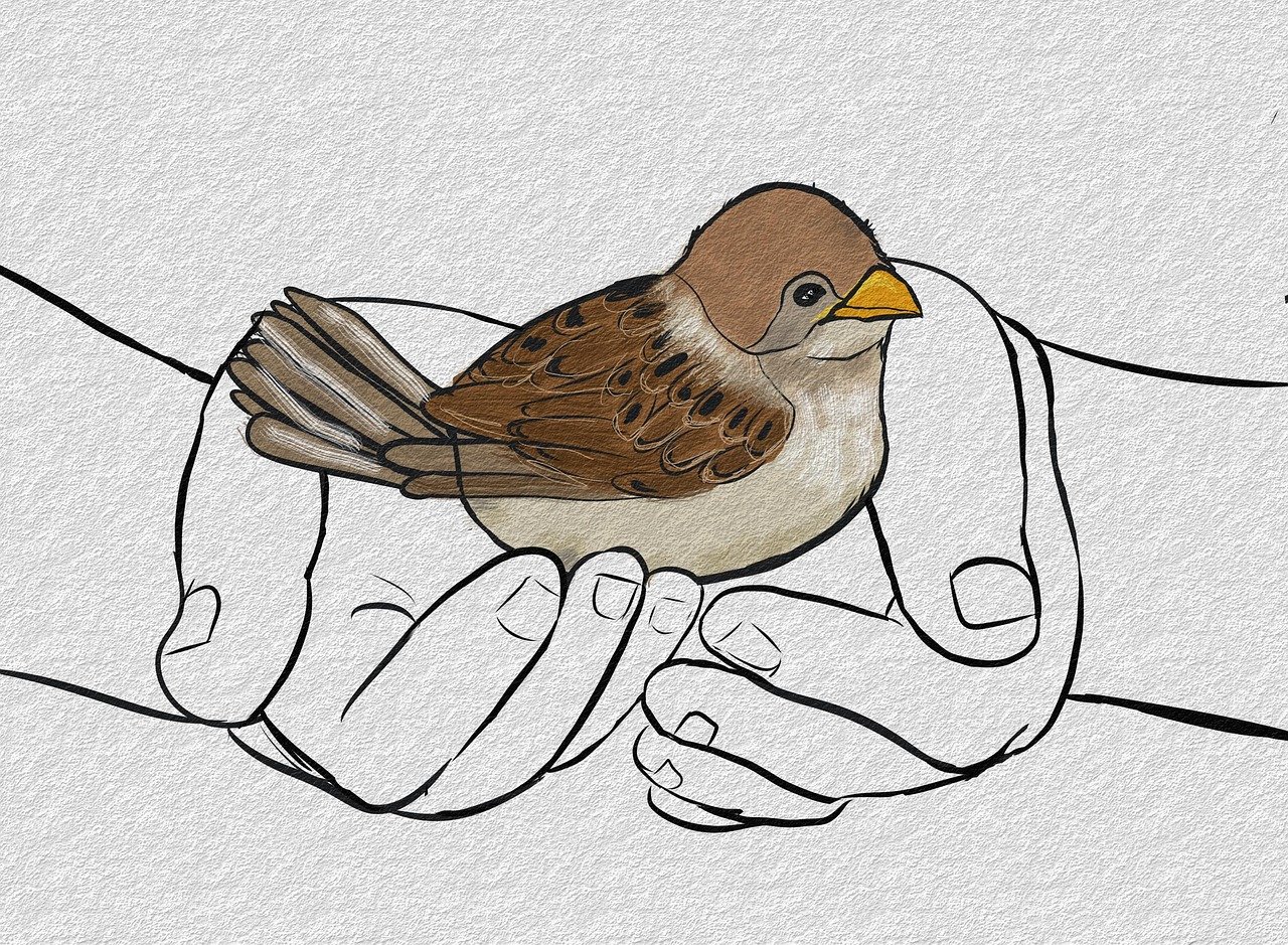 sparrow-7263192-1280