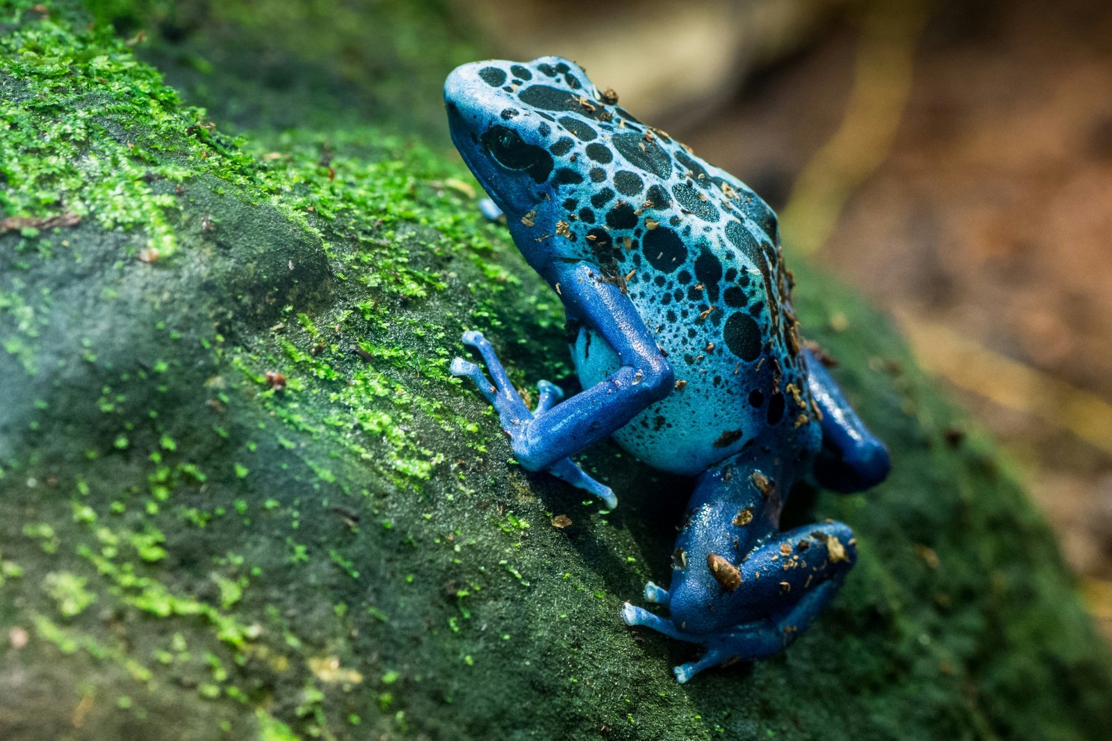 travis-leery-KzMzfkpk4LE-unsplash