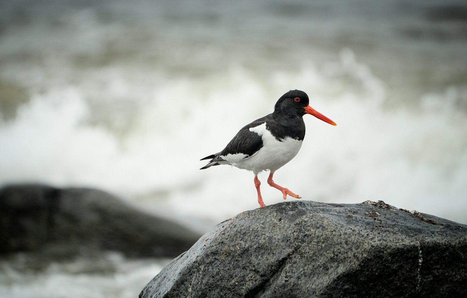 vidar-nordli-mathisen-7WXR3c1As20-unsplash