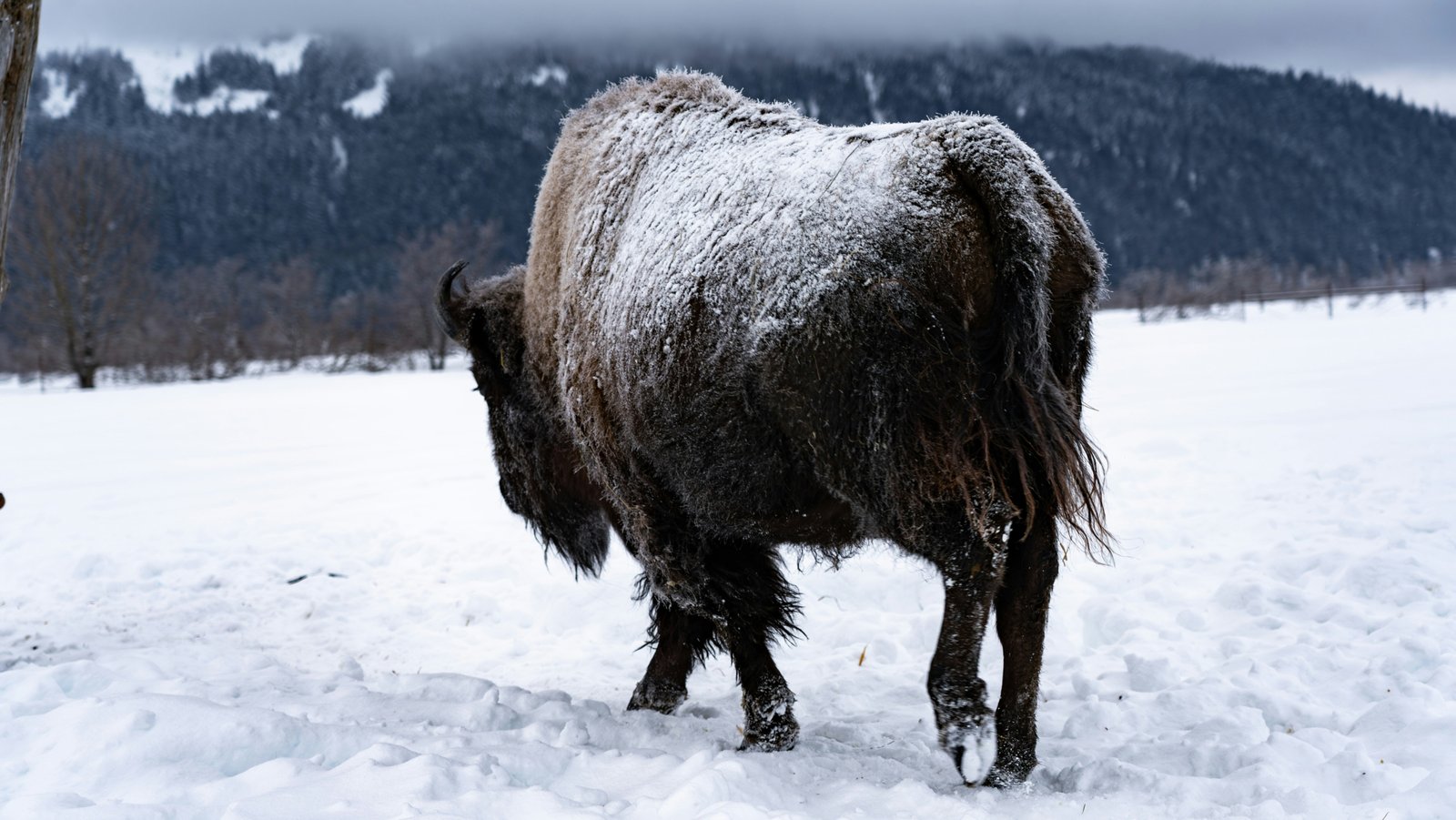yuhan-du-DmNjEHg9M0o-unsplash