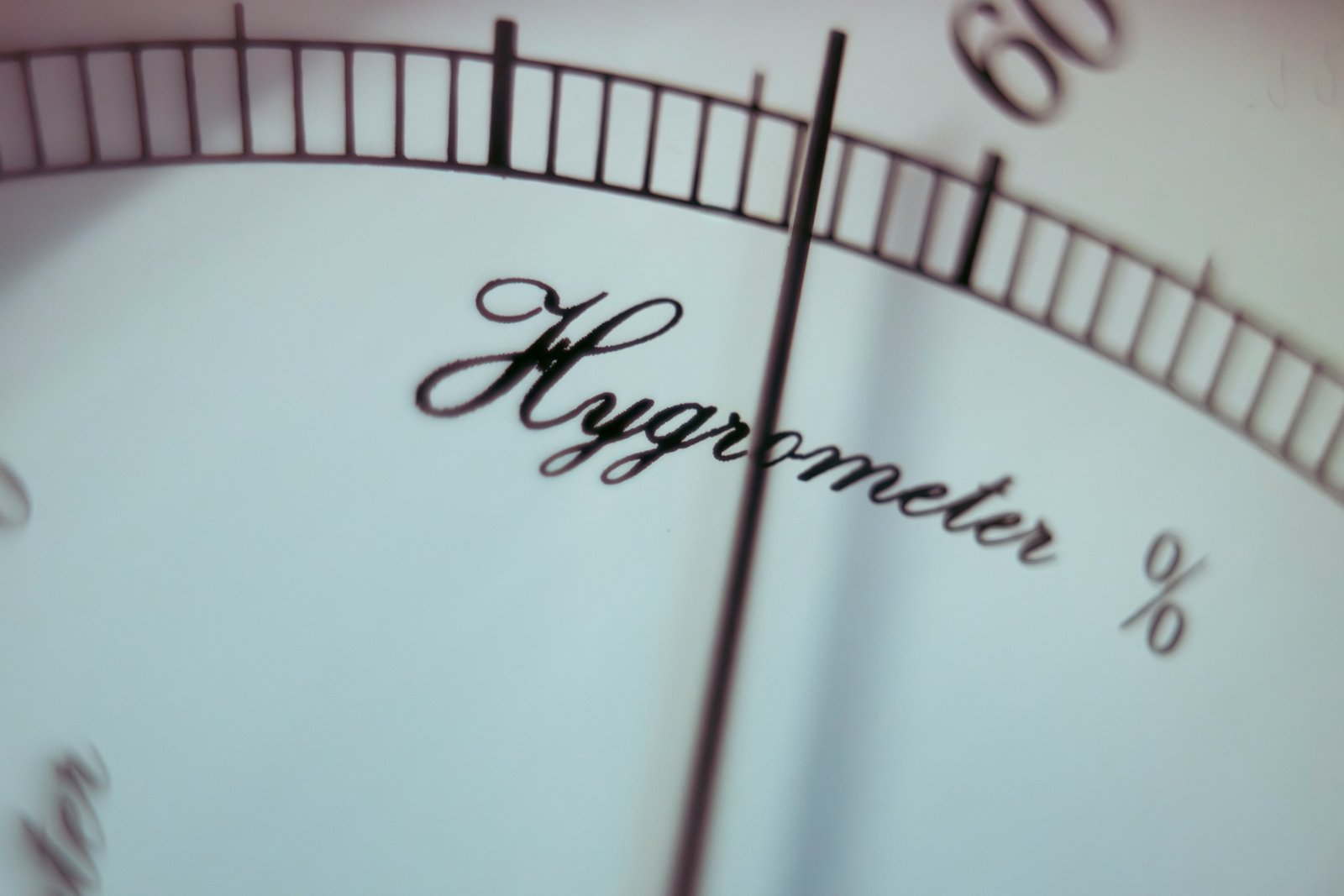jonathan-cosens-photography-PqYiGHn8jH4-unsplash